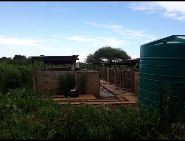 171HA FARM FOR SALE IN LOUIS TRICHARDT RURAL